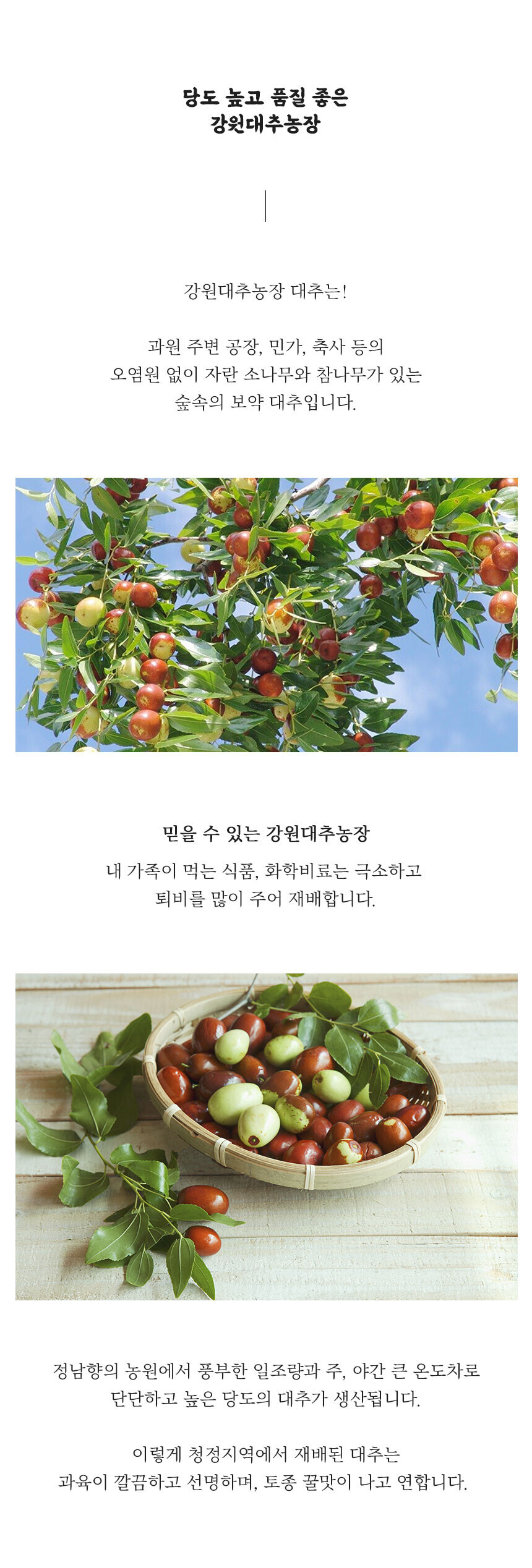 회사 이미지